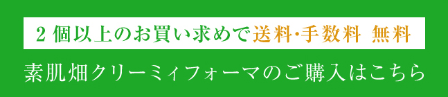 通常購入はこちら