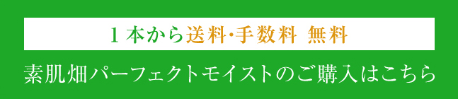 通常購入はこちら