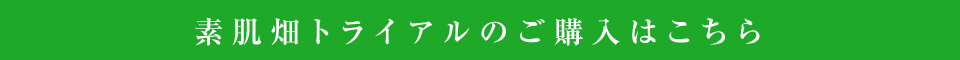 トライアル購入はこちら